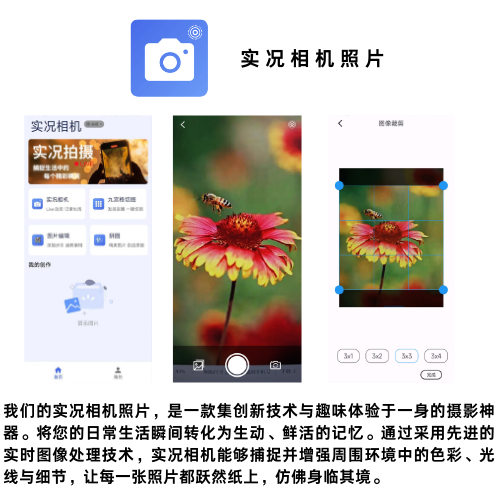 码瑞网络